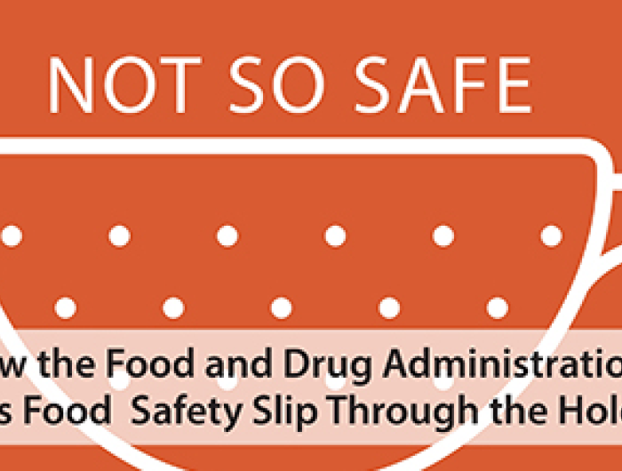 Food Additive Safety Infographic